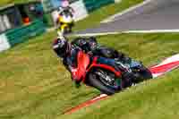 Lower Group Red Bikes
